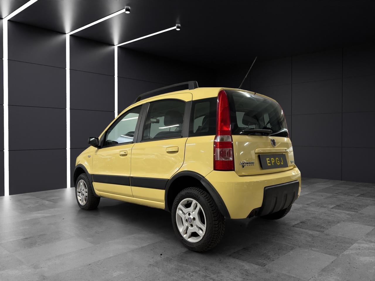 Fiat Panda 1.2 Climbing Natural Power