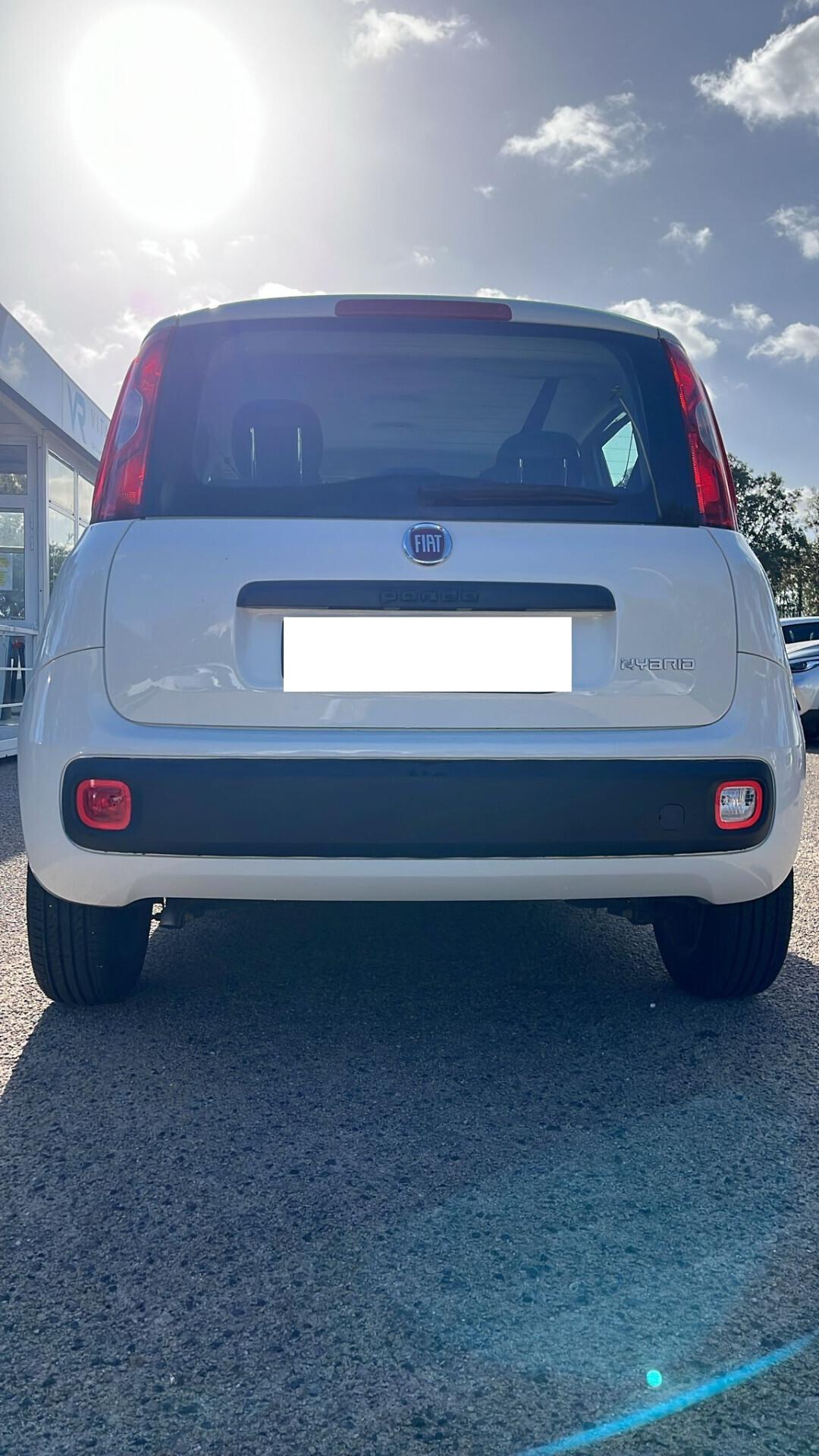 Fiat Panda 1.0 FireFly S&S Hybrid GARANZIA 12 MESI