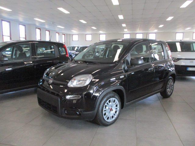 FIAT Panda 1.0 FireFly S&S Hybrid _ KM ZERO