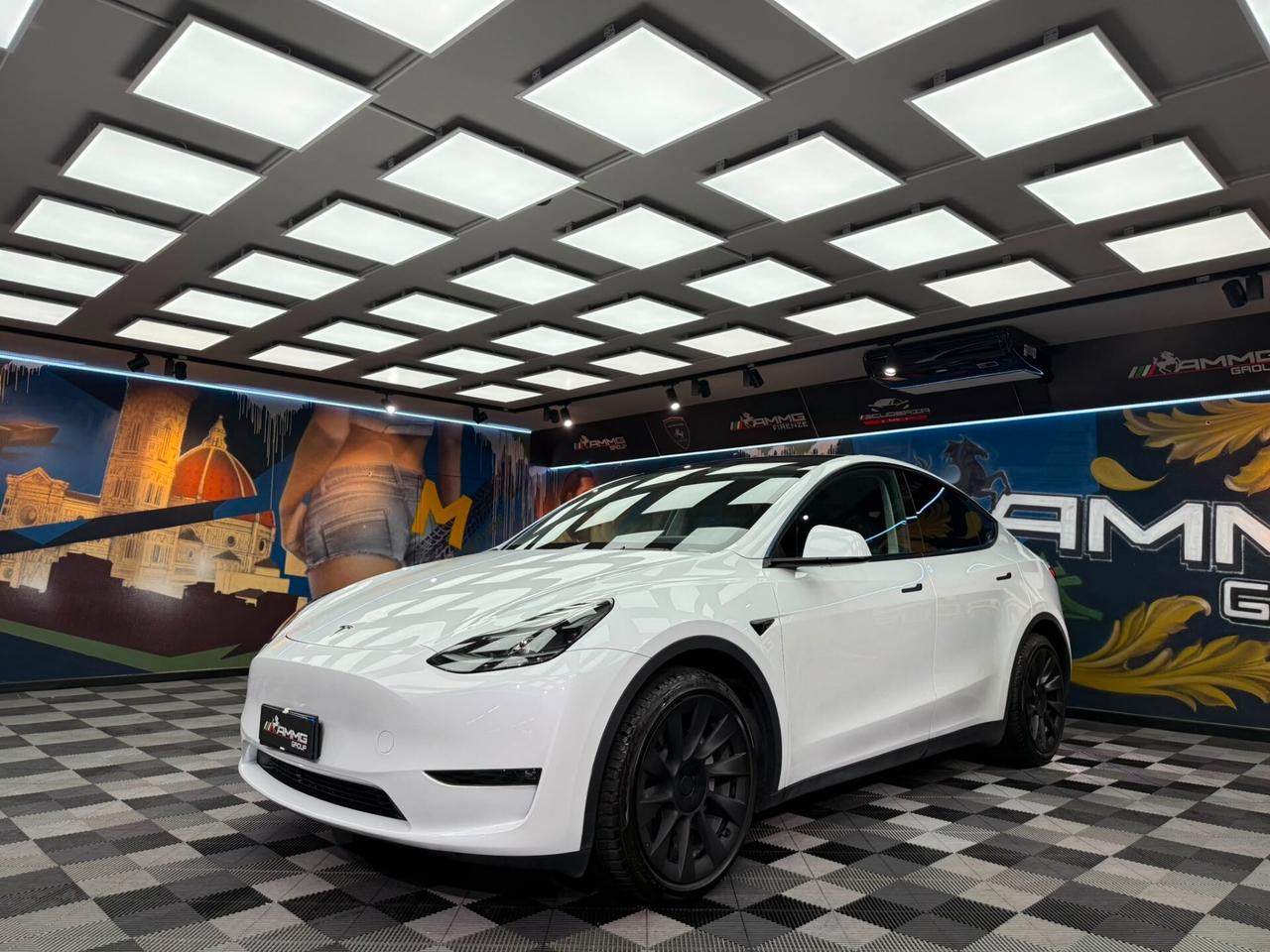 Tesla Model Y Long Range AWD (349)