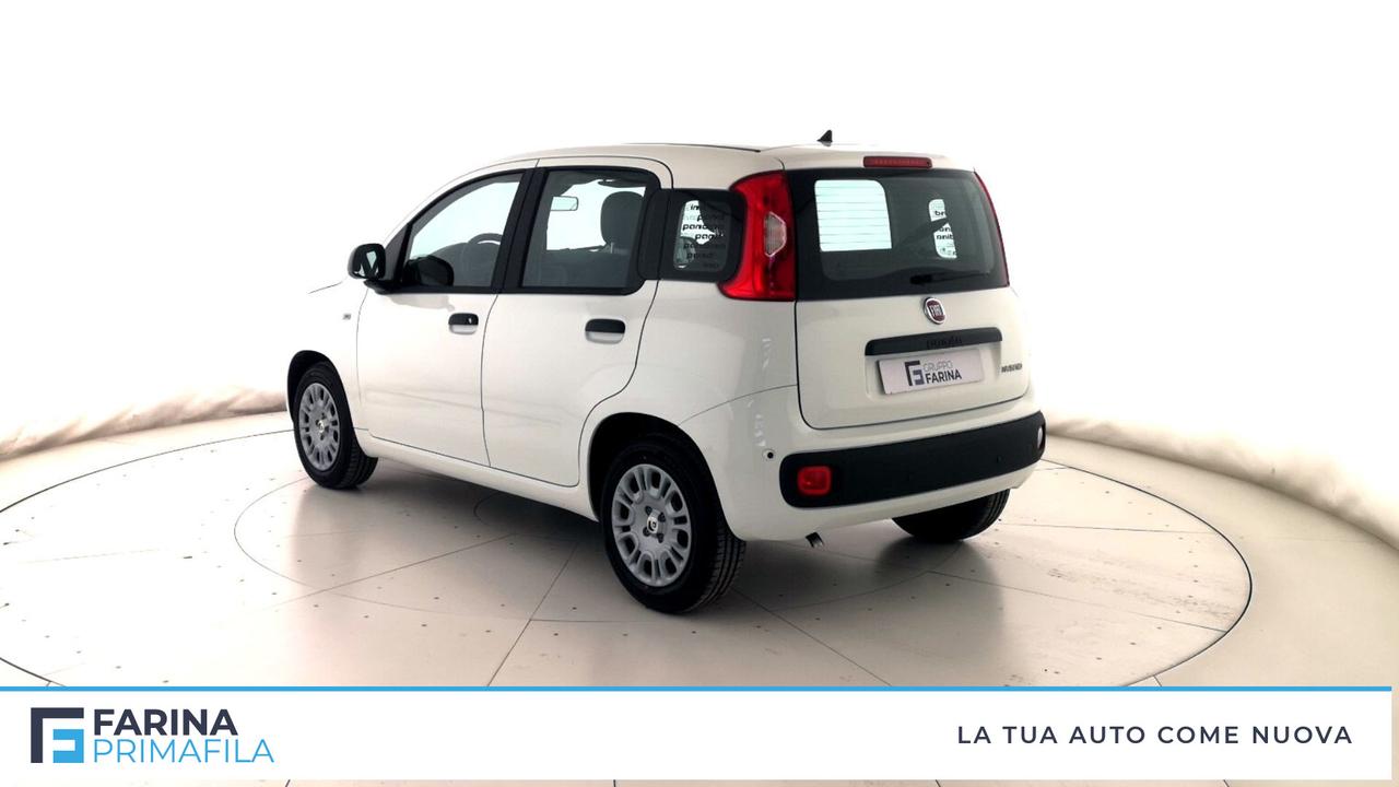 FIAT Panda III 2021 - Panda 1.0 firefly hybrid Pop s&s 70cv