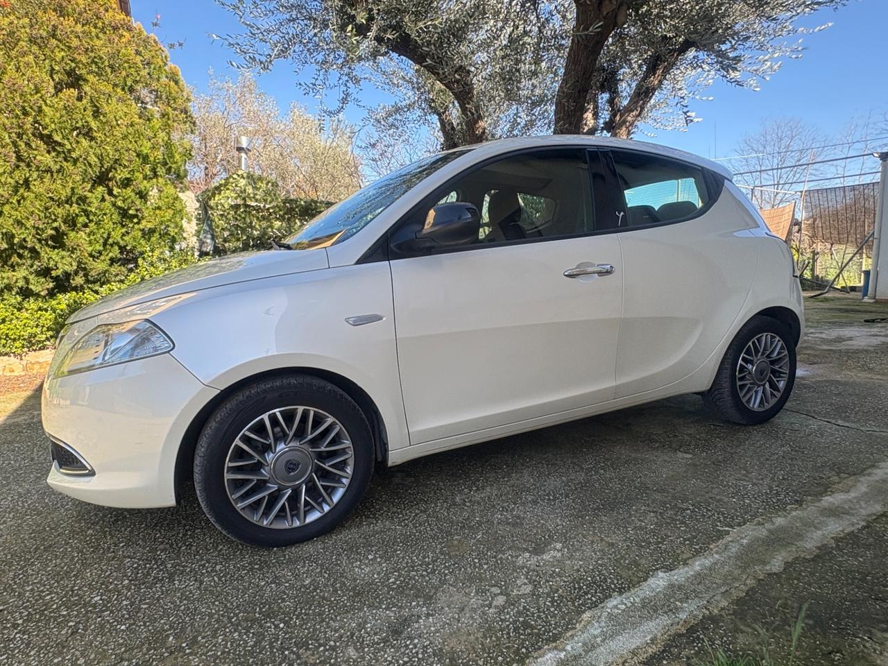 Lancia Ypsilon 1.3 MJT 16V 95 CV 5 porte S&S Gold