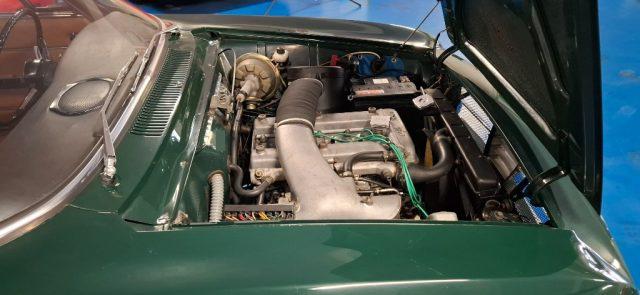 ALFA ROMEO GT SCALINO VERDE PINO con INTERNI CUOIO