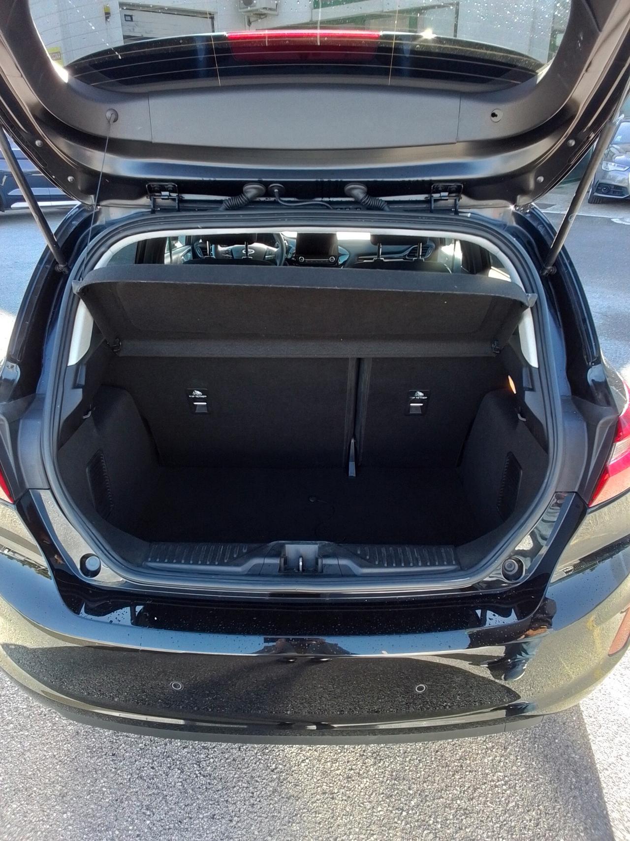 Ford Fiesta 1.0 Ecoboost Hybrid 125 CV 5 porte Titanium