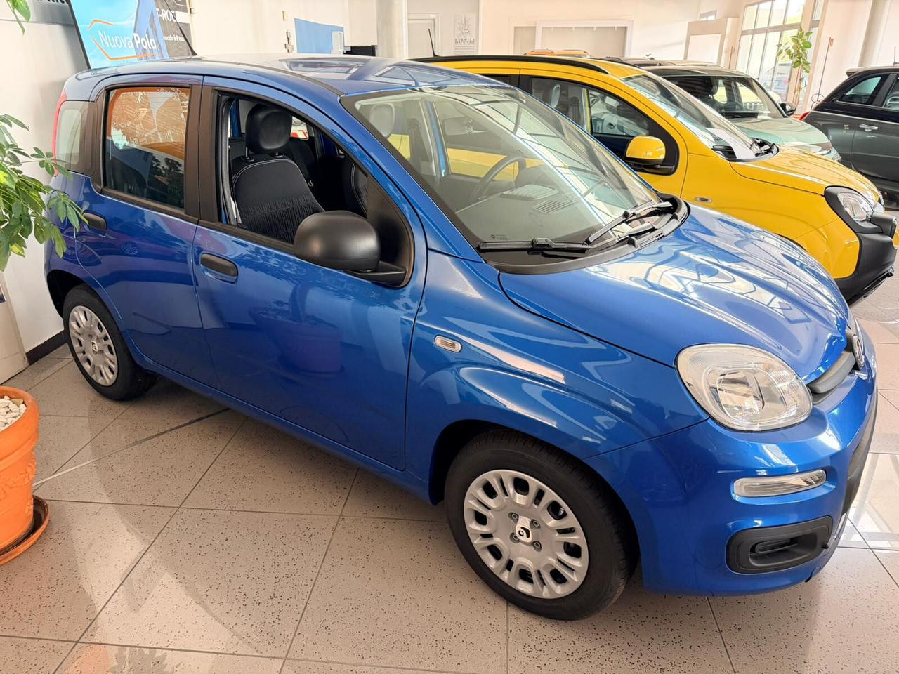 FIAT PANDA 1.0 HYBRID KM 0