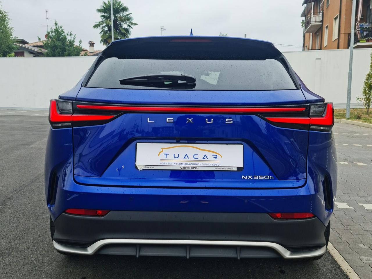 Lexus NX 350 h #6372