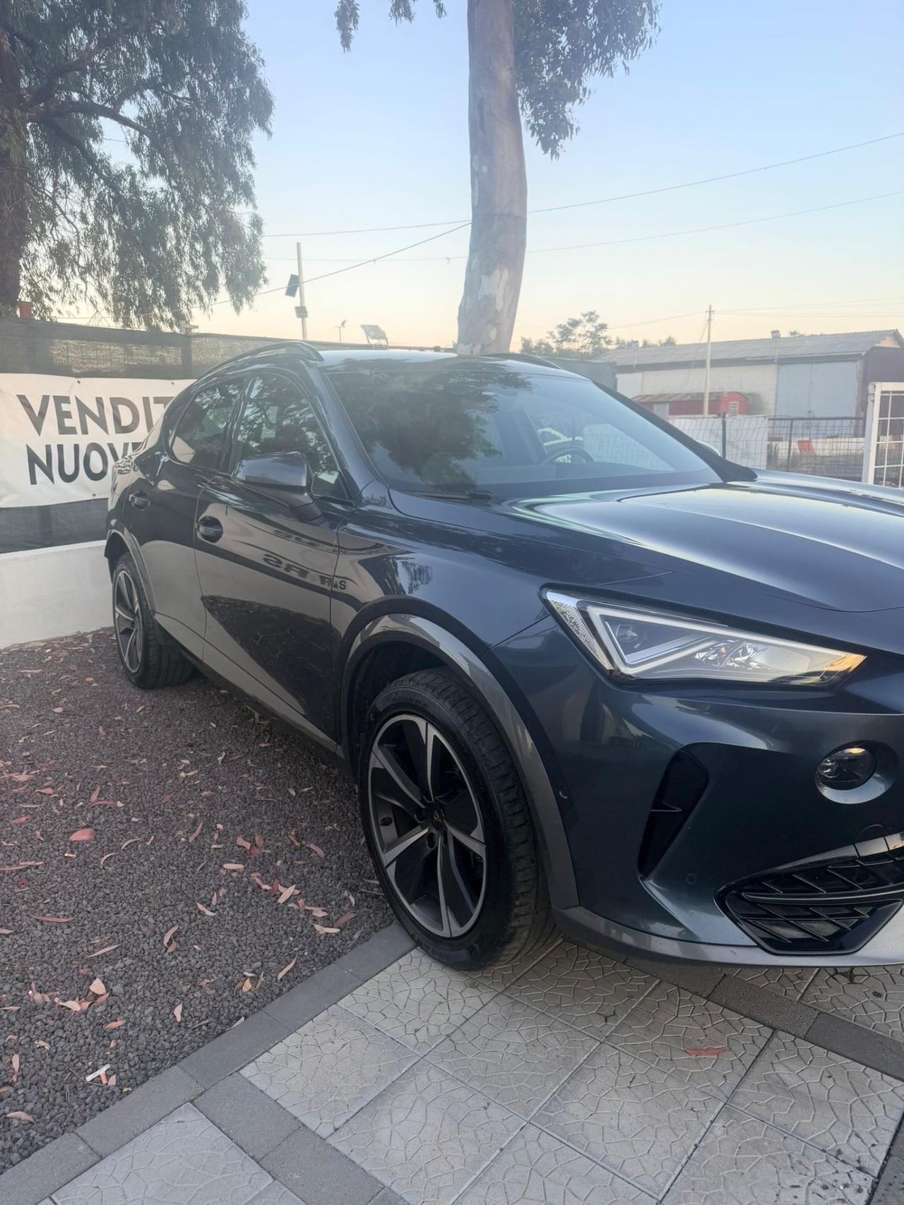 Cupra Formentor 2.0 TDI 4Drive DSG