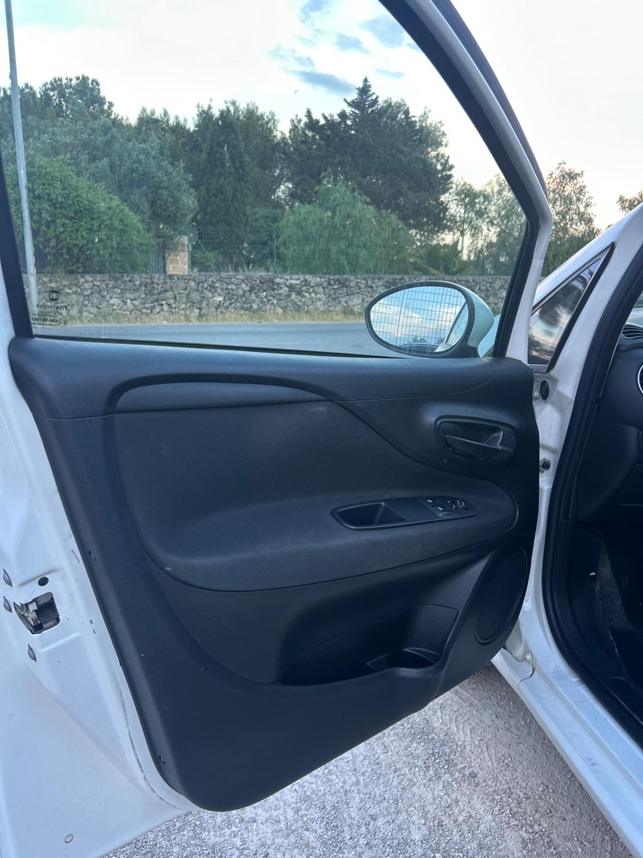 Fiat Punto 1.3 MJT Van 4 posti N1-2017