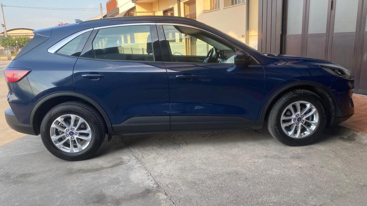 Ford Kuga 1.5 EcoBlue 120 CV 2WD Titanium autocarro 5-posti