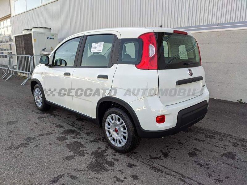 FIAT Panda My23 1.0 70cv Hybrid Panda