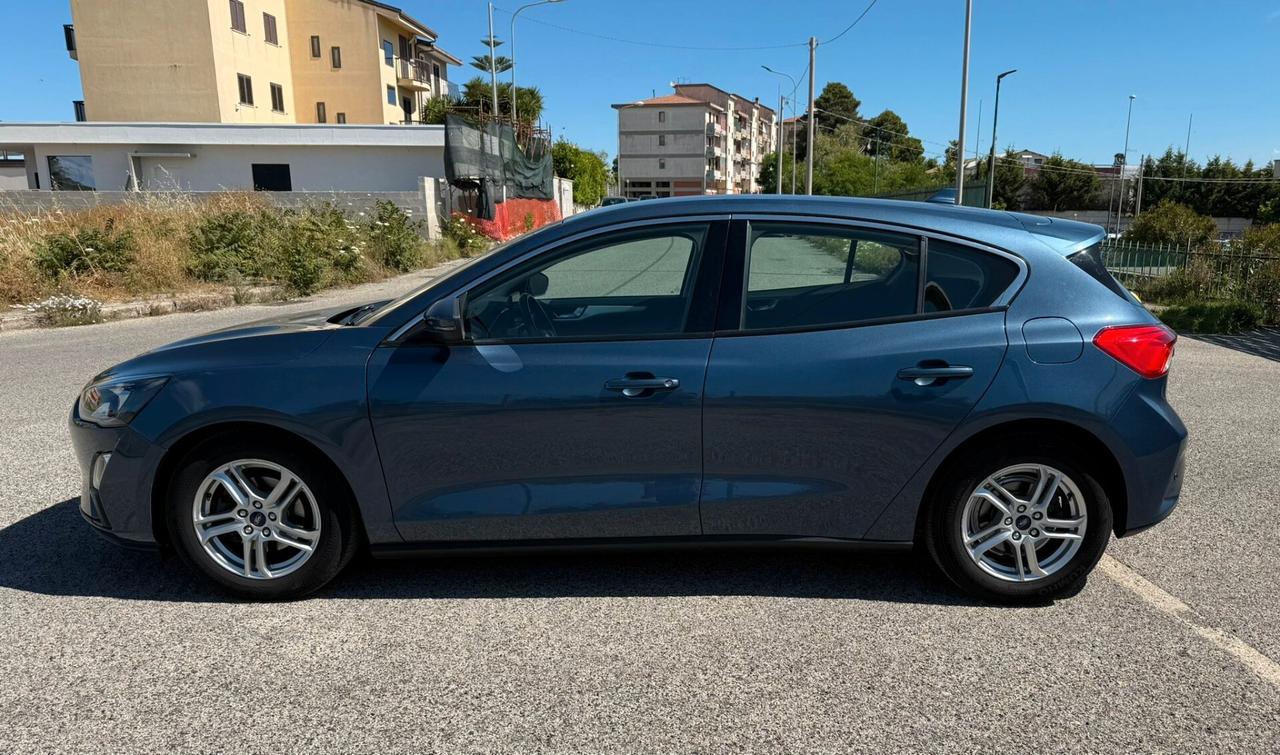 Ford Focus 1.5 EcoBlue 95 CV 5p. Business