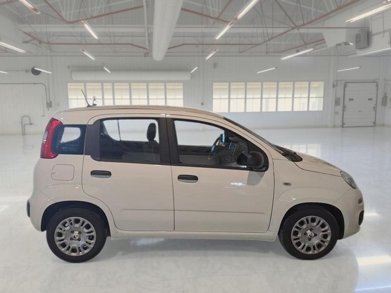 FIAT PANDINA 1.0 FIREFLY 65 CV SES 6M HYBRID ICON 5 PORTE BERLINA