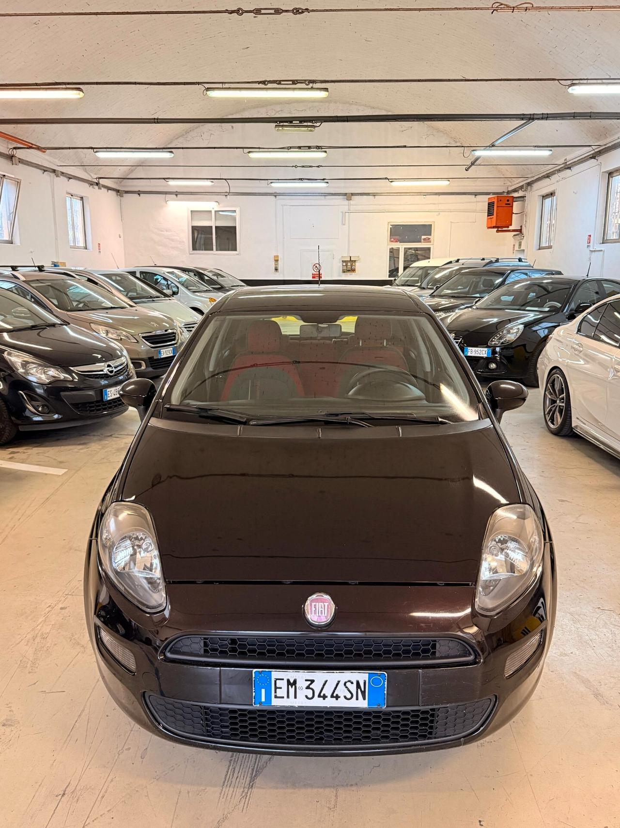 Fiat Punto Evo Punto Evo 1.4 5 porte Active EasyPower