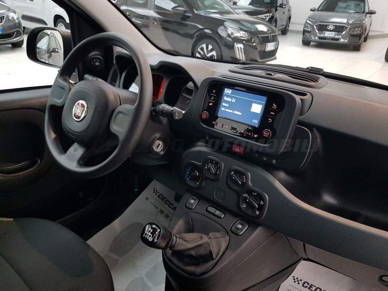FIAT Panda Panda 1.0 firefly hybrid s&s 70cv