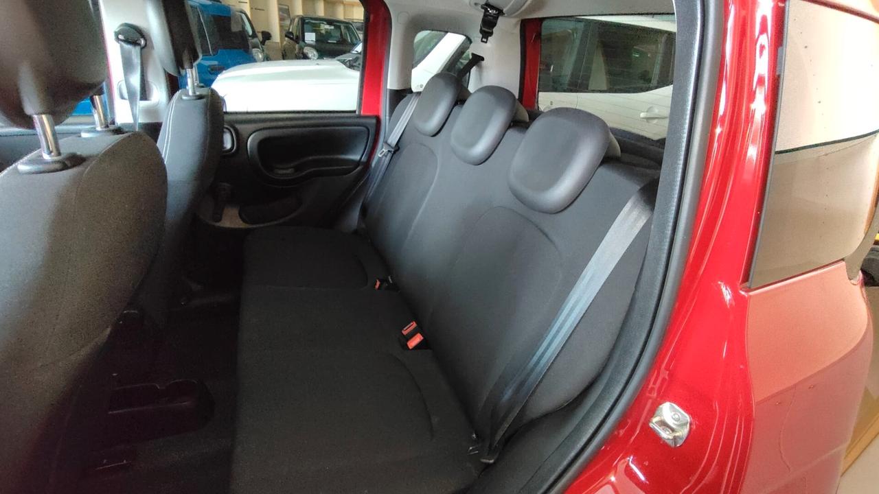 Fiat Panda Cross 1.0 FireFly S&S Hybrid 2024