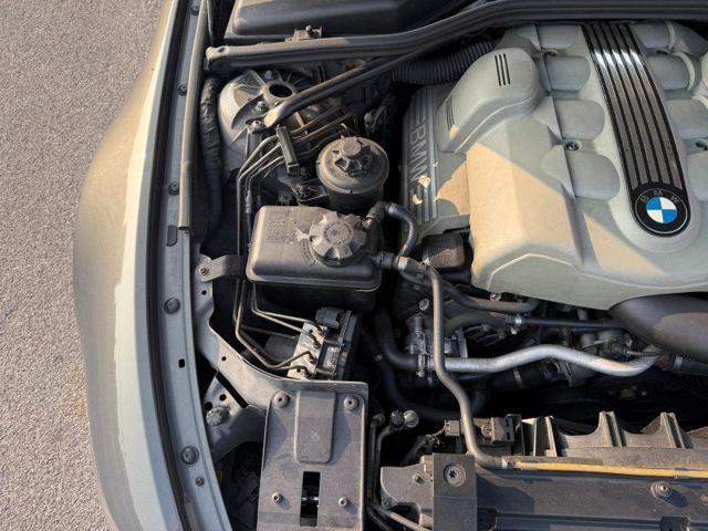 BMW 645 Ci cat