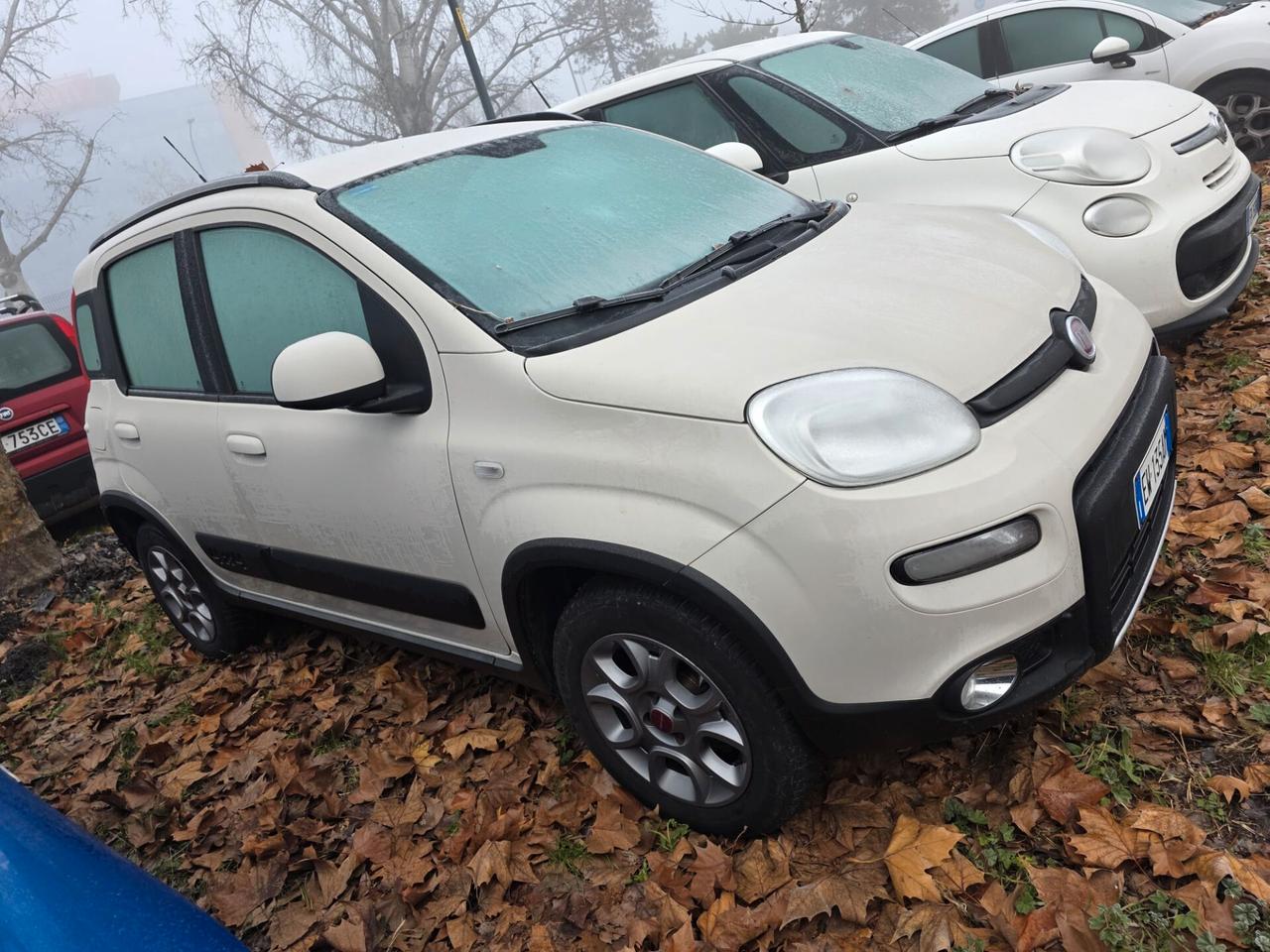 Fiat Panda 1.3 MJT S&S 4x4 perfetta e garantita 12 mesi