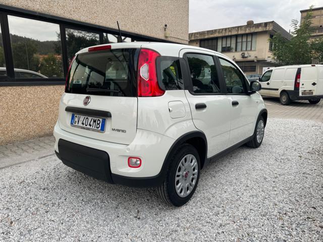 FIAT Panda 1.0 FireFly Hybrid 70cv S&S MT6 - KmZero