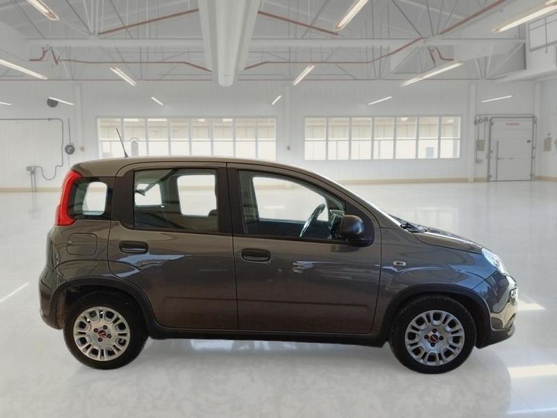 FIAT PANDA 1.0 FIREFLY 70 CV SES HYBRID 5 PORTE BERLINA