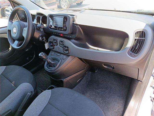 FIAT Panda 3ª serie 1.0 FireFly S&S Hybrid City Life