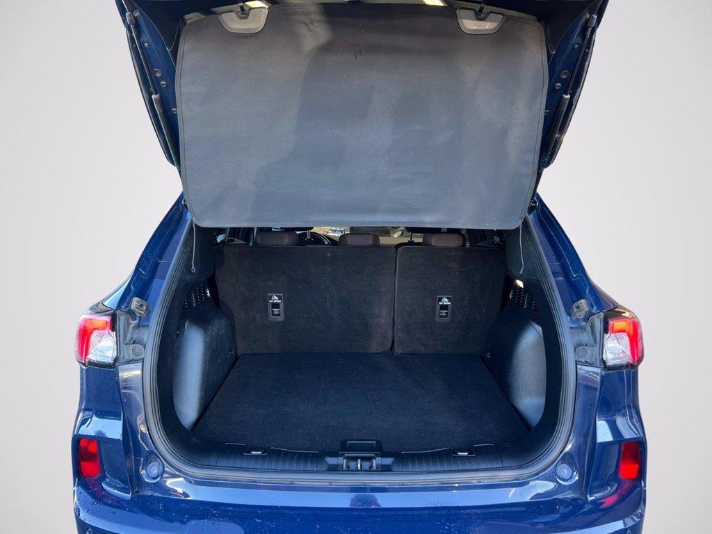 FORD Kuga 2.5 Full Hybrid 190 CV CVT 2WD ST-Line del 2023