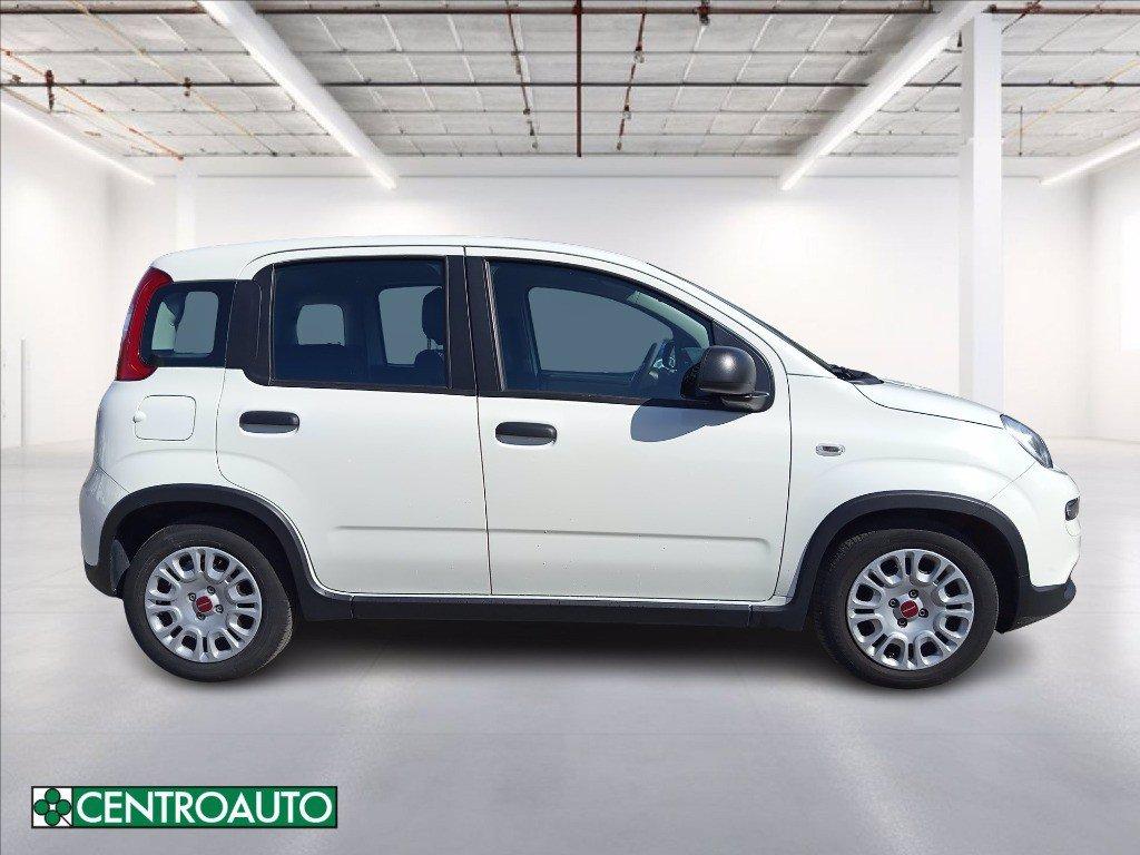 FIAT Panda 1.0 firefly hybrid s&s 70cv del 2024