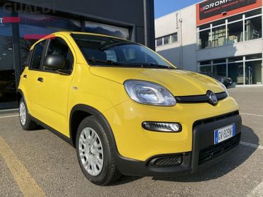 FIAT Pandina Pandina 1.0 FireFly 65 CV Hybrid Icon