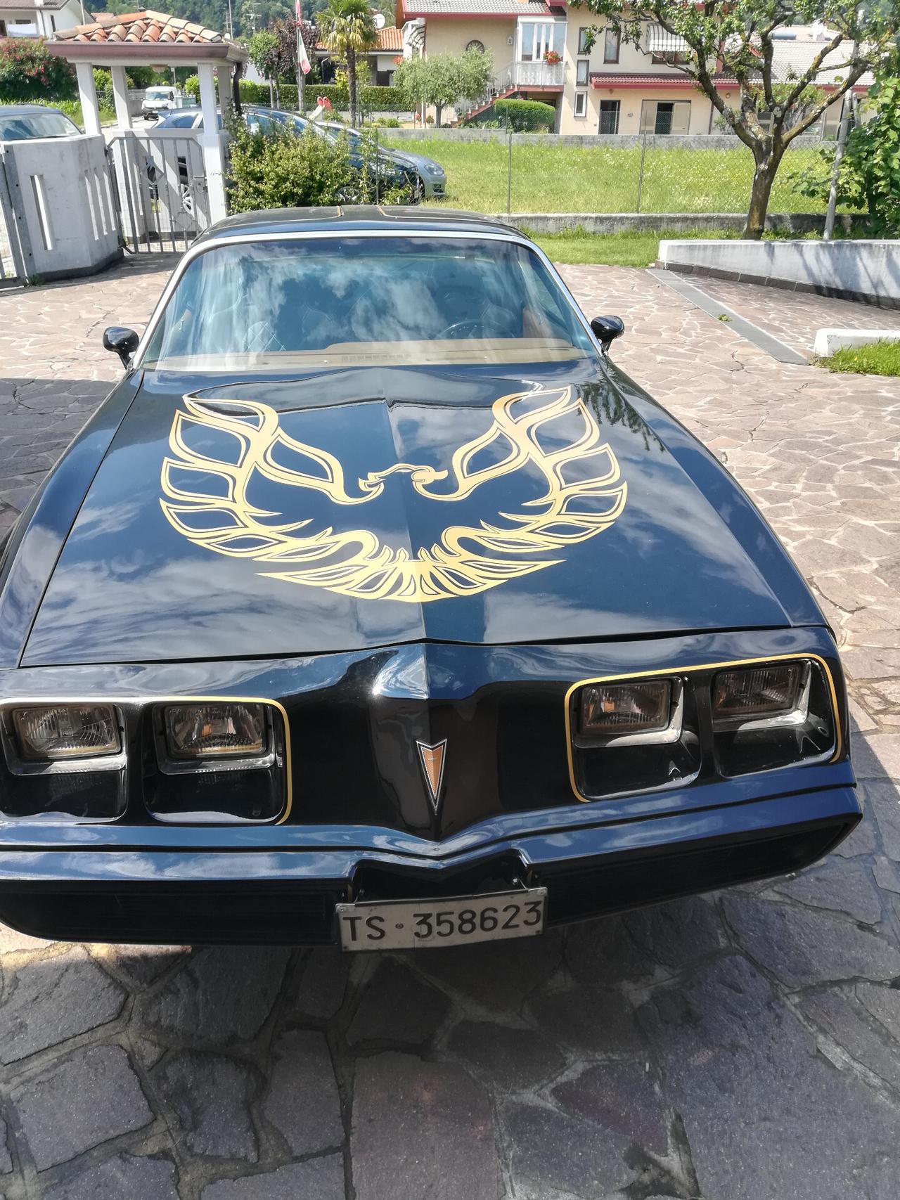 Pontiac Trans Am trans am