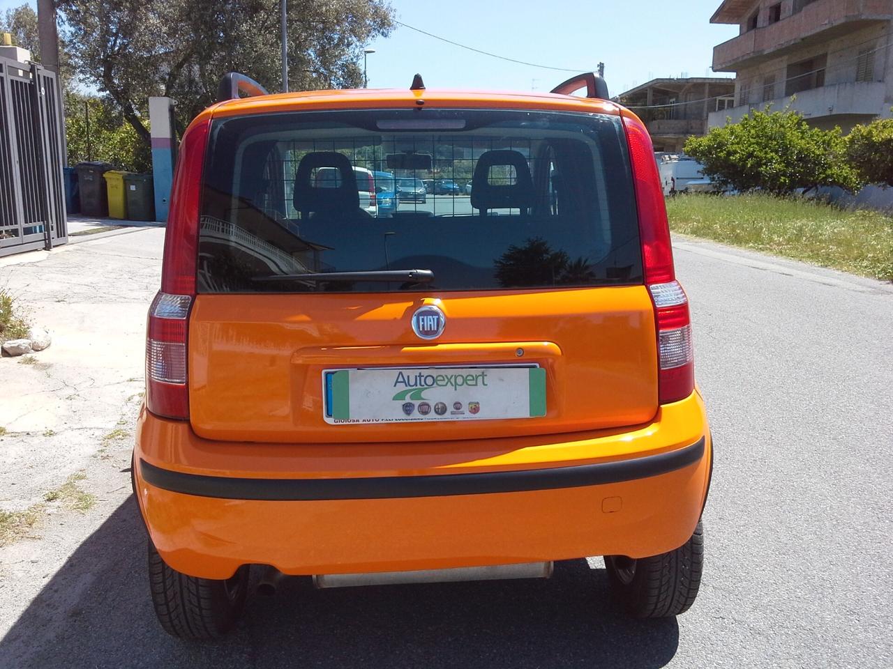 Fiat Panda 1.3 Multijet 4x4 Van 2 Posti Anno 2009