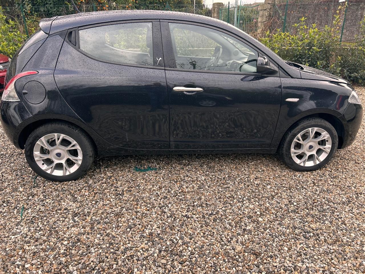 Lancia Ypsilon 1.2 69 CV 5 porte Platinum