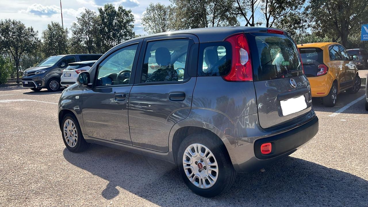 Fiat Panda 1.0 2022