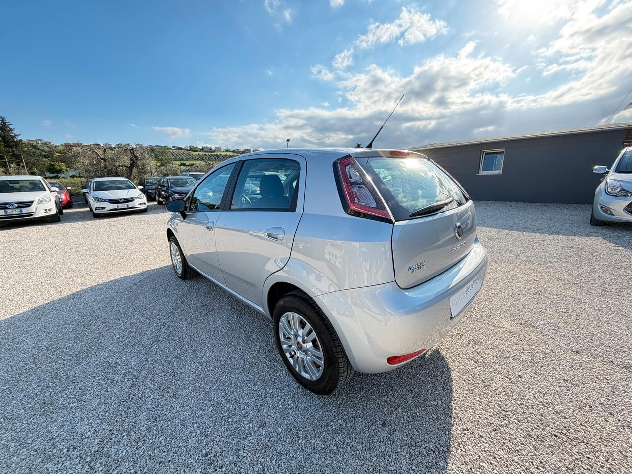 Fiat Punto 1.4 Natural Power 77cv 5p 35.312 km unico proprietario