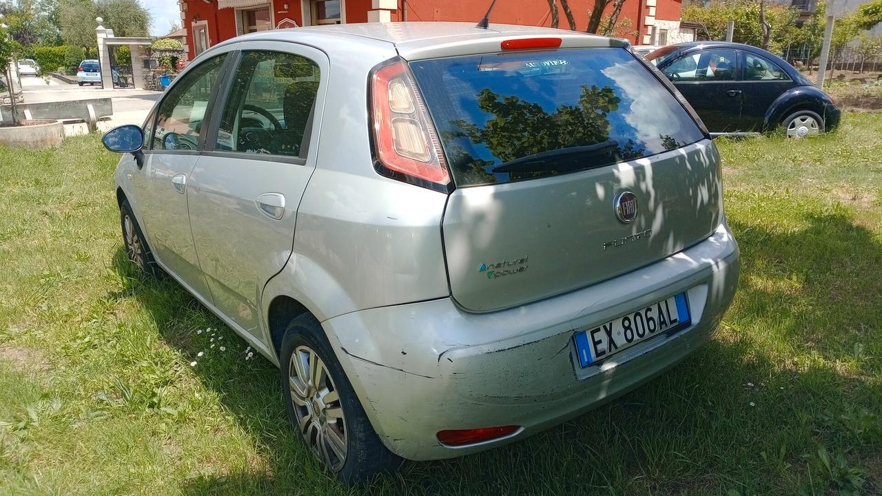 Fiat Punto 1.4 8V 5 porte Natural Power Lounge ( METANO