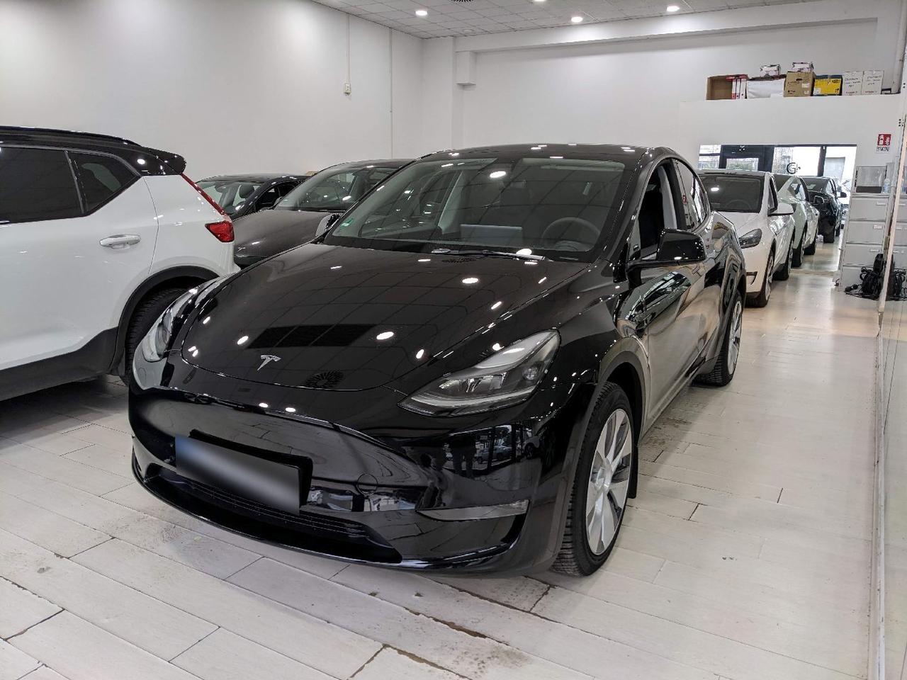 Tesla Model Y 440 cv Long Range Dual Motor Tetto Cruise adattivo