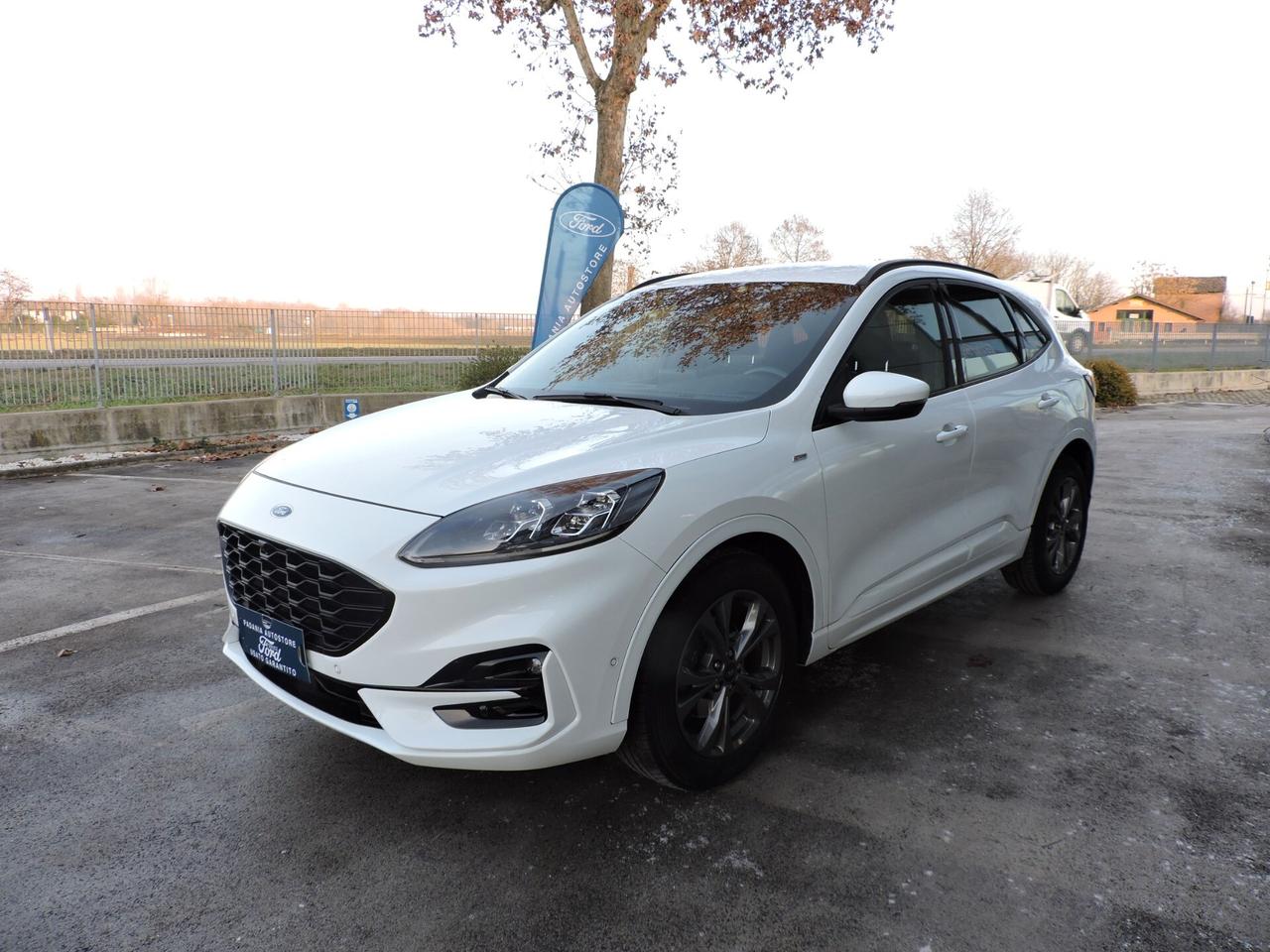 Ford Kuga 2.0 EcoBlue Hybrid 150 CV 2WD ST-Line X