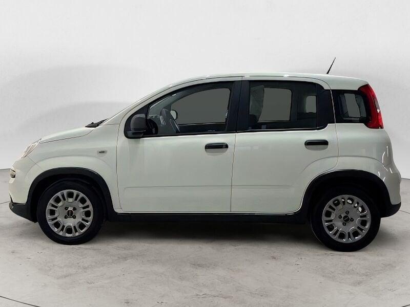 FIAT Panda Panda 1.0 FireFly S&S Hybrid