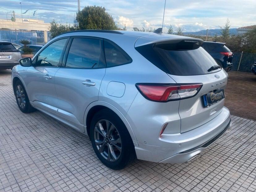 Ford Kuga 1.5 EcoBlue 120 CV 2WD ST-Line