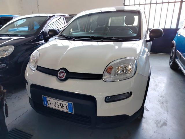 FIAT Panda 1.0 FireFly S&S Hybrid km 2.000