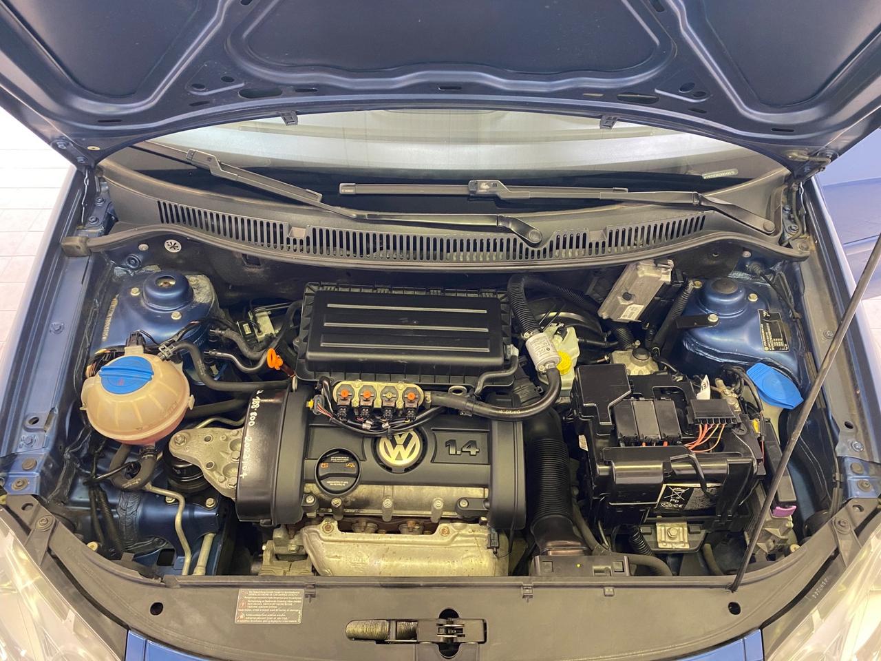 Volkswagen Polo 1.4/80CV 16V 5p. Comfort. BiFuel G