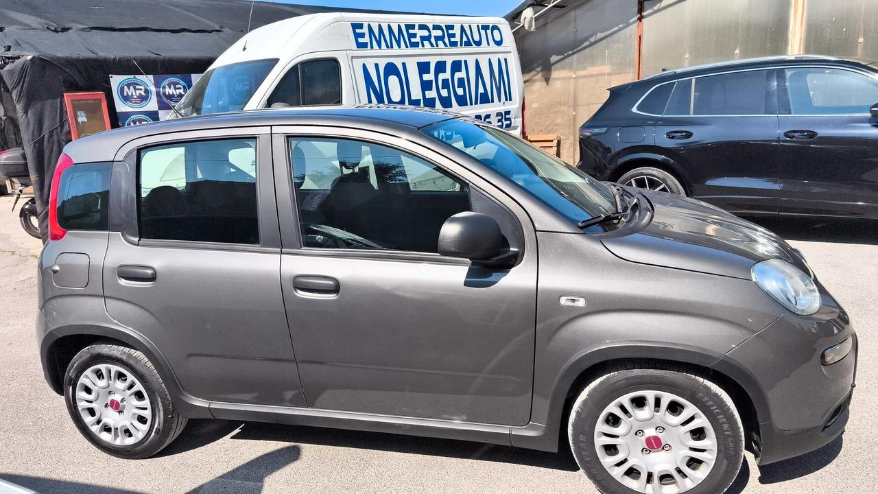 Fiat Panda 1.0 FireFly Hybrid City Life 2022 USATO