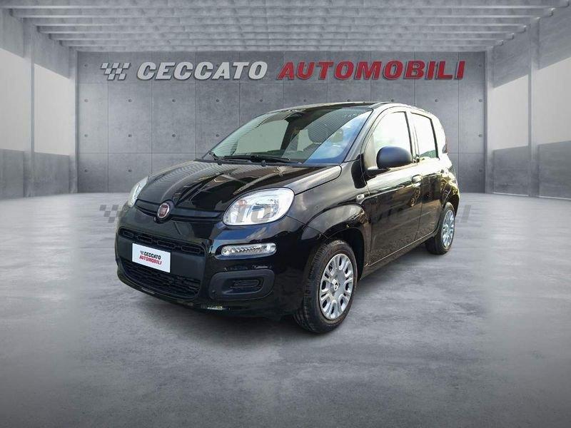 FIAT Panda Panda 1.0 firefly hybrid s&s 70cv