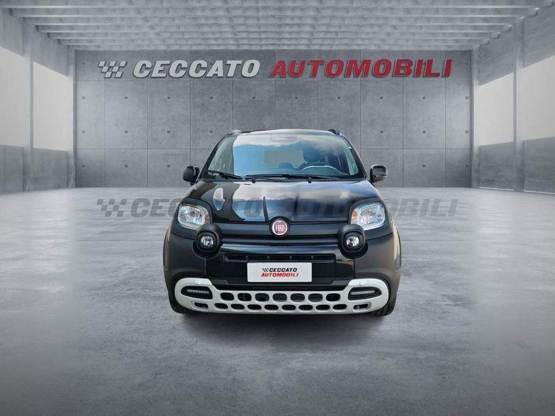 FIAT Panda Panda My25 1.0 70cv Hybrid Pandina