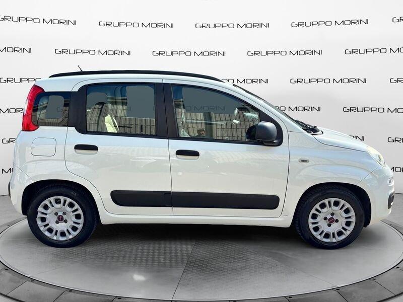 FIAT Panda 1.2 69cv EasyPower Pop