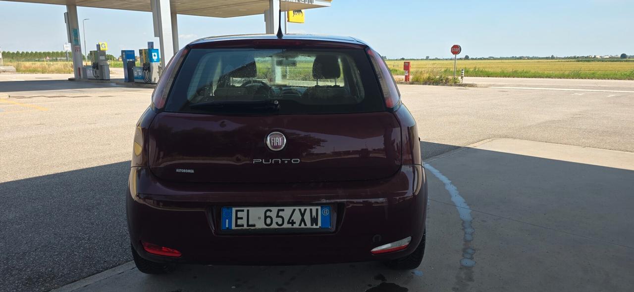 Fiat Punto 1.3 MJT II 75 CV 5 porte Pop