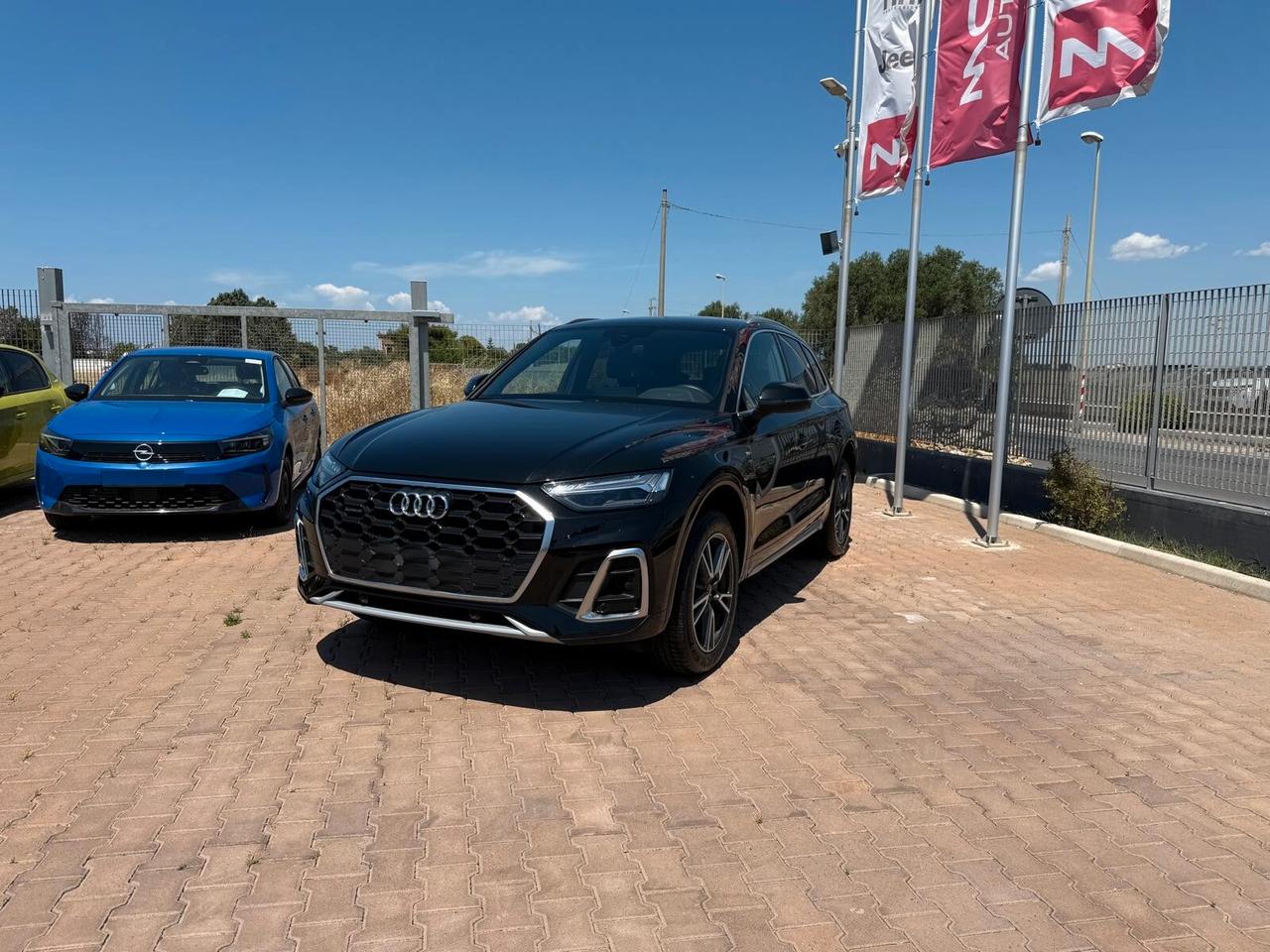 Audi Q5 40 TDI 204 CV quattro S tronic line plus