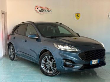 Ford Kuga 1.5 EcoBlue 120 CV 2WD ST-Line