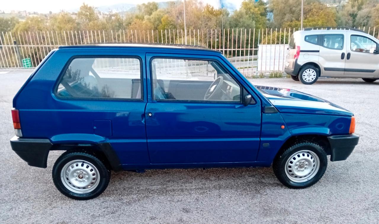 Fiat Panda 1100 i.e. cat Young