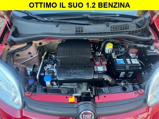 FIAT Panda 1.2 Red Collection