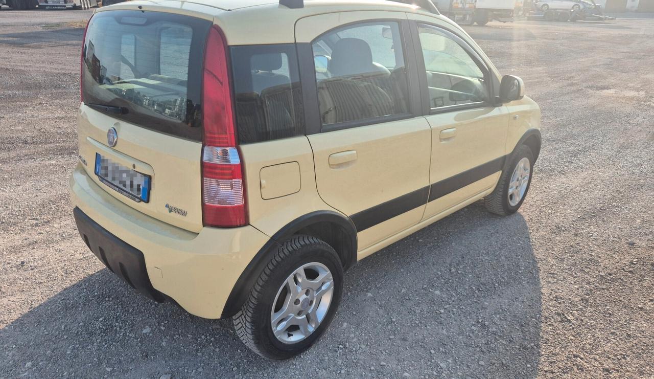 Fiat Panda 1.2 Nat Power Climbing