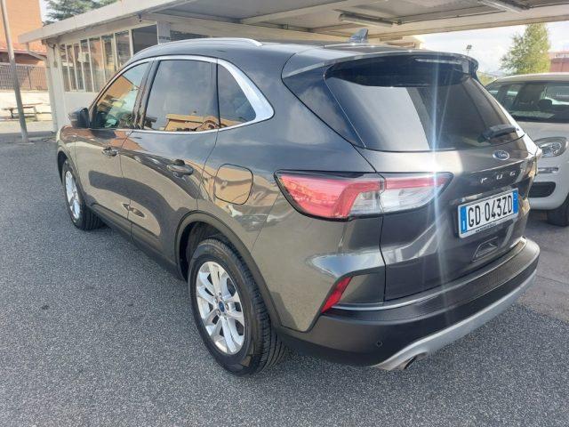 FORD Kuga 1.5 EcoBlue 120 CV 2WD Titanium Business